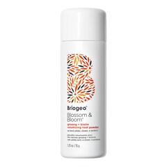 Blossom & Bloom Ginseng + Biotin - Polvere volumizzante per le radici, BRIOGEO