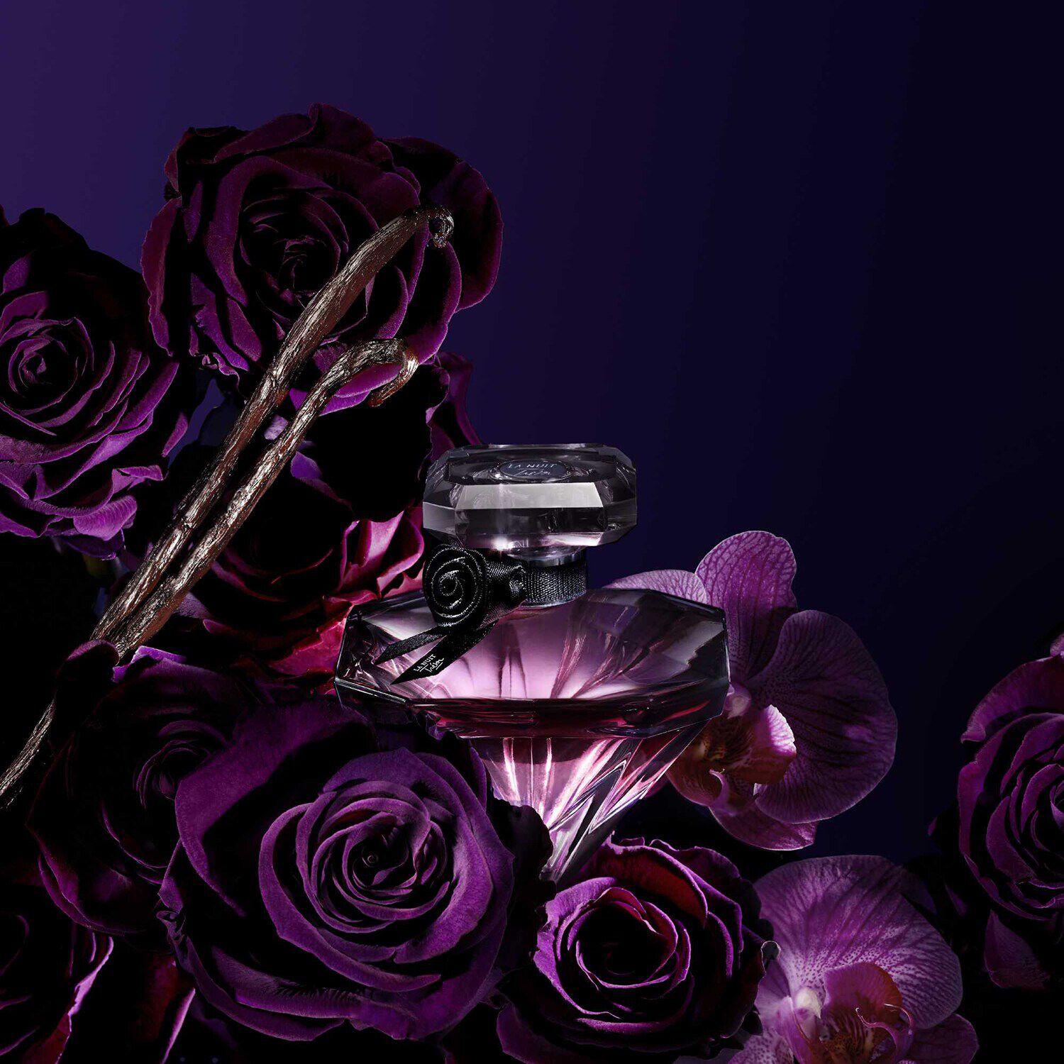 sephora prezzo profumo tresor lancome sephora prezzo profumo tresor lancome