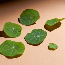 CC Eye à la Centella Asiatica - Contorno occhi illuminante