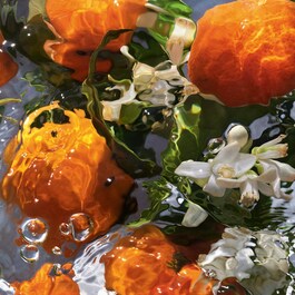 Aqua Allegoria Mandarine Basilic - Crema Mani