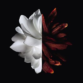L'Interdit Eau de Parfum Rouge - Eau de Parfum
