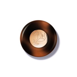 Teint Idole Ultra Wear C.E. Skin Transforming Bronzer - Terra Abbronzante