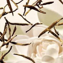 The Ritual of Karma Foaming Shower Gel - docciasciuma in gel