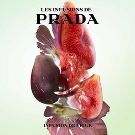 Les Infusions - Infusion de Figue - Eau de Parfum