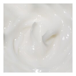 THE TRUE CREAM MOISTURIZING BOMB - Crema Idratante Viso