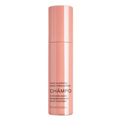 Leave-in perfecting cream - Crema di styling, CHAMPO