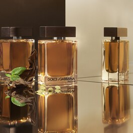 The One For Men - Eau de Toilette