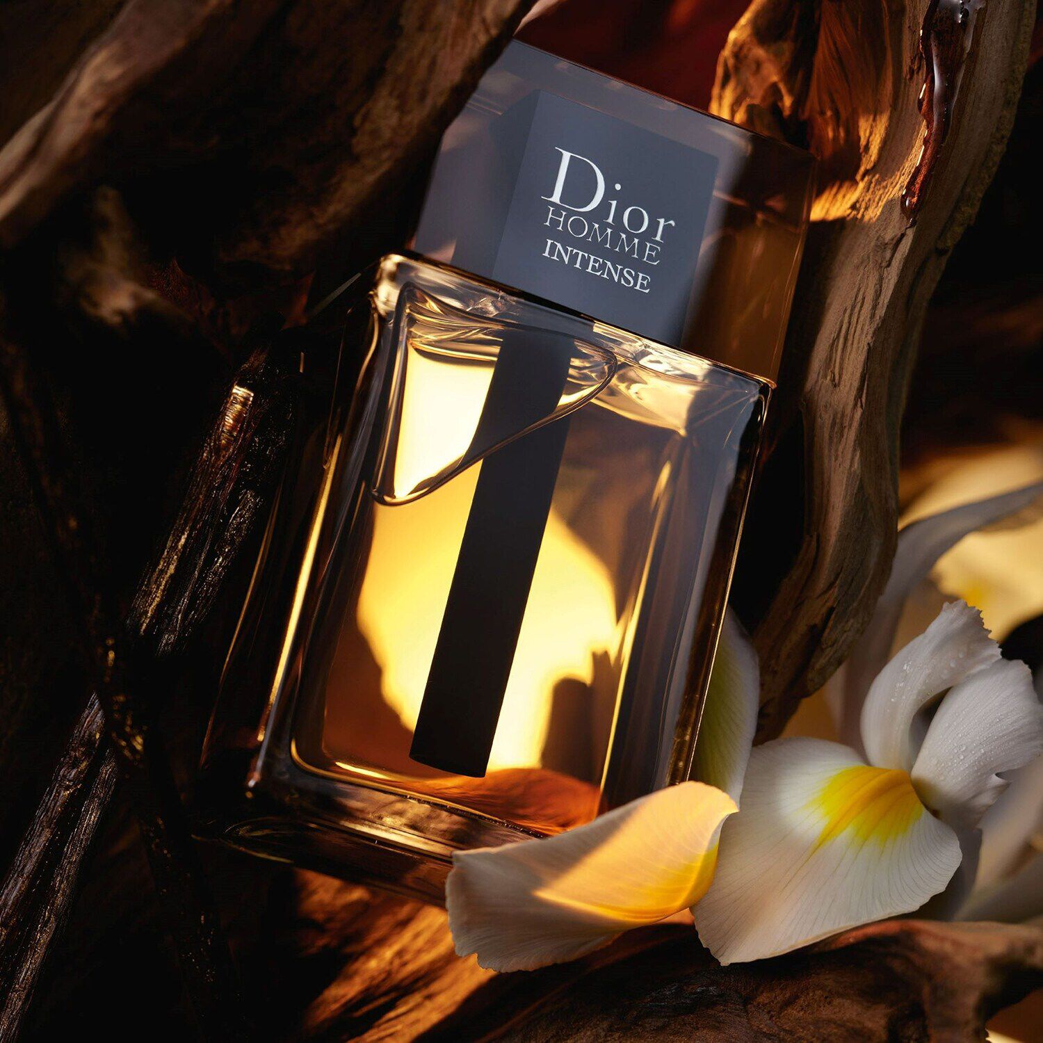 Dior Homme Intense Eau de parfum Note legnose e ambrate iris e vaniglia di DIOR SEPHORA