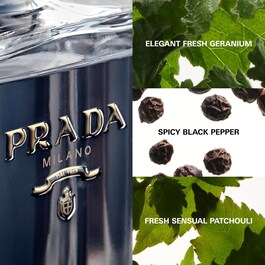 L'HOMME PRADA - Eau de Toilette