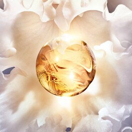 Orchidée Impériale - La Crème Riche -RIcarica