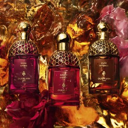 Absolus Allegoria - Santal Royal - Eau de Parfum