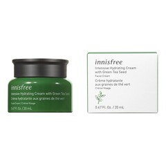 Crema idratante ai semi di tè verde - Crema Viso e Collo Formato Viaggio, INNISFREE