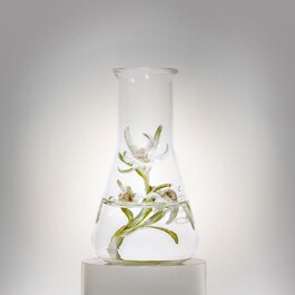 Prodigy Cellglow The Deep Renewing Concentrate - Siero Anti-Età Illuminante