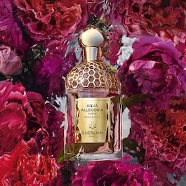 Aqua Allegoria Forte Rosa Rossa - Eau de Parfum