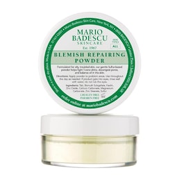 BLEMISH REPAIRING POWDER - Polvere riparatrice anti-acne