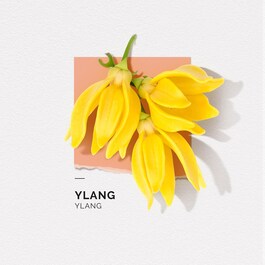 Ylang- Eau De Parfum Formato Viaggio