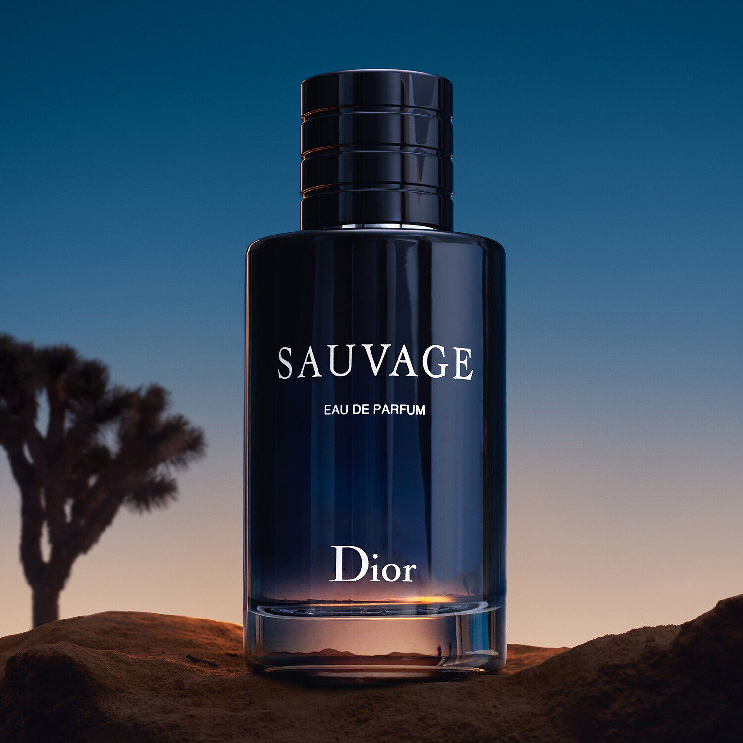 Prezzo profumo dior sauvage hot sale