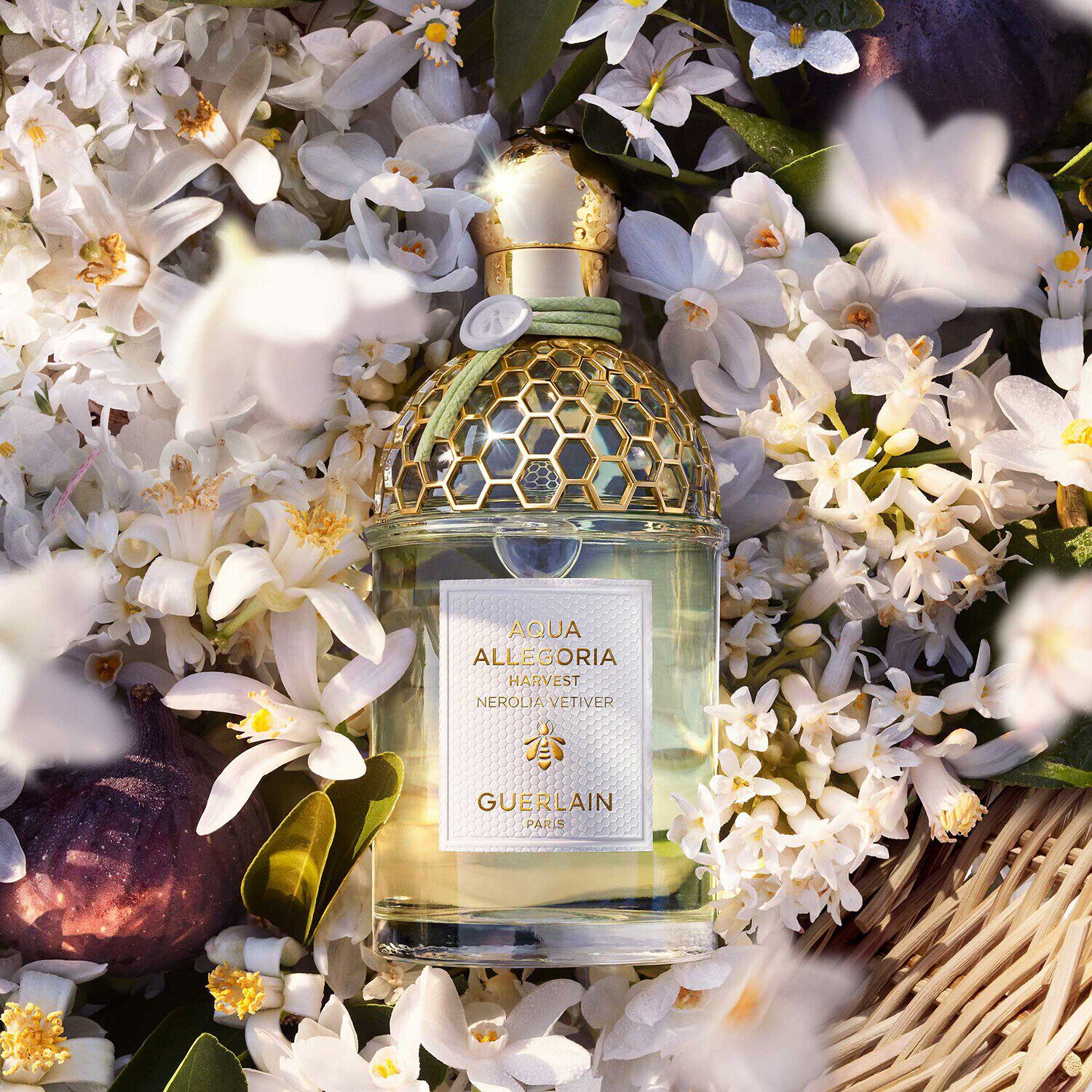 Aqua Allegoria Nerolia Vetiver Harvest - Eau de Toilette NS8724