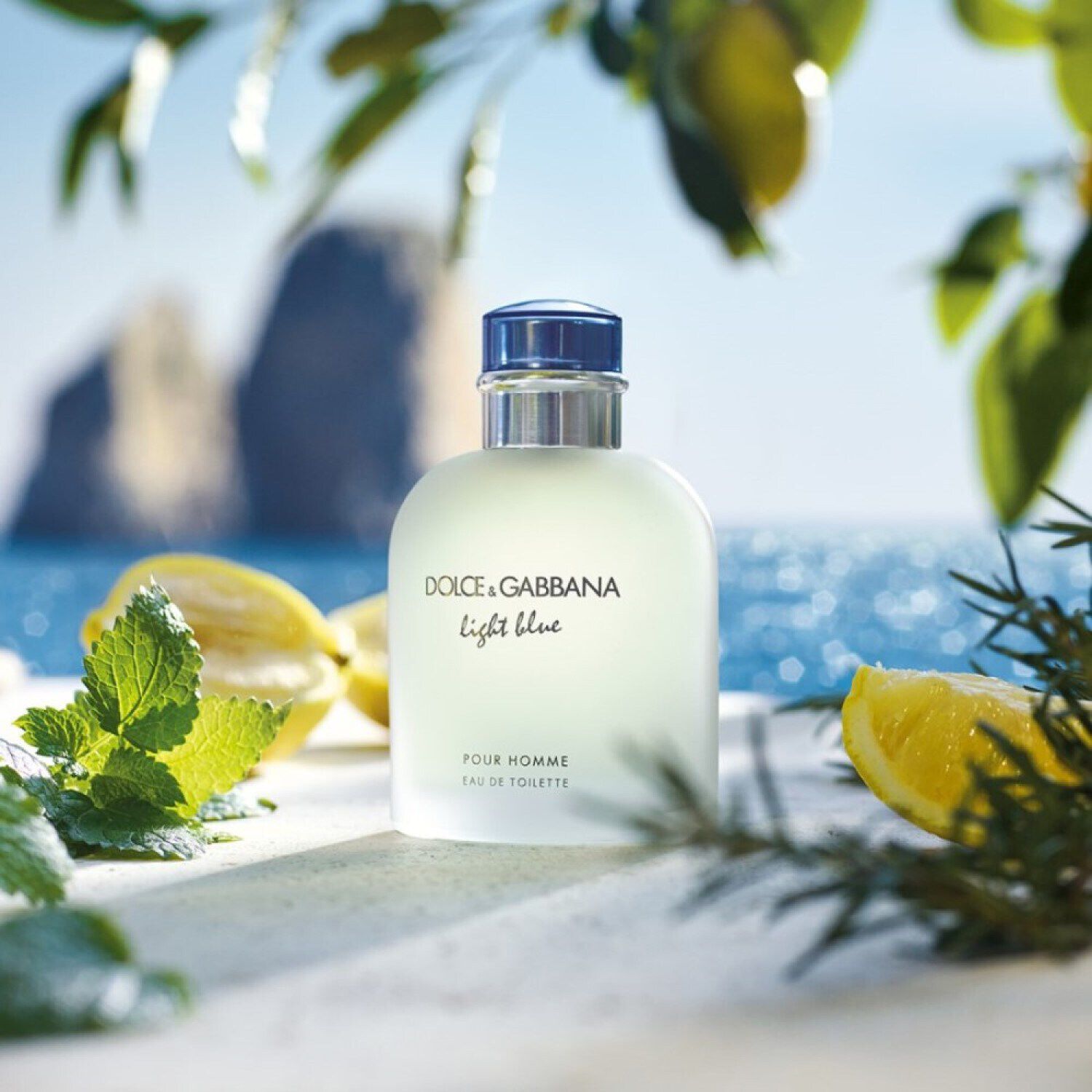 Light Blue Pour Homme Eau de Toilette di DOLCE GABBANA SEPHORA