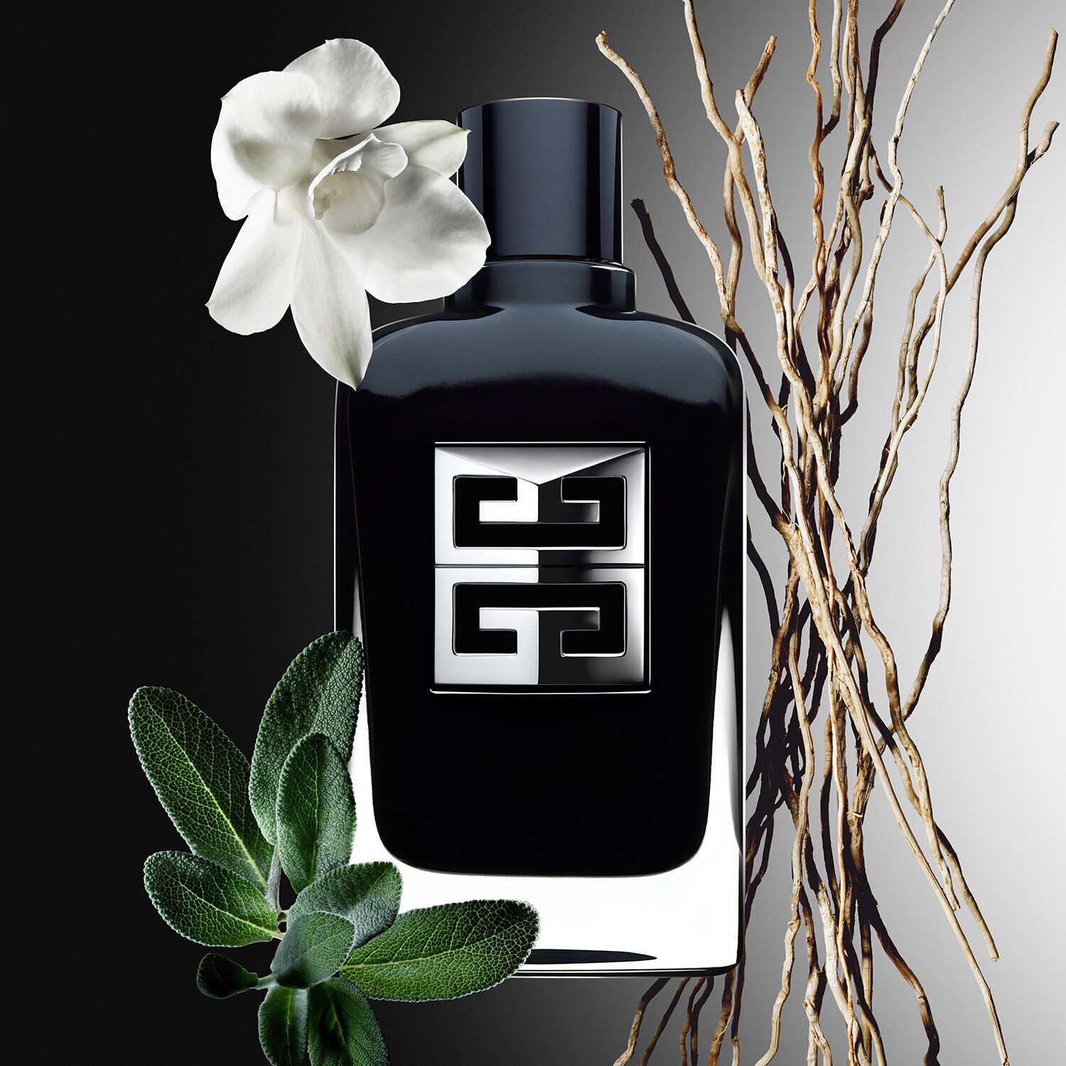 GENTLEMAN SOCIETY - Eau de Parfum NS6443