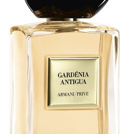 Armani Prive Gardénia Antigua