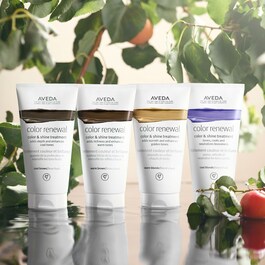 Color Renewal - Maschera capelli nutriente toni freddi