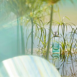 Un Jardin sur le Nil - Eau de toilette