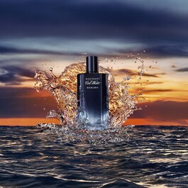 Davidoff Cool Water Reborn Eau de Parfum