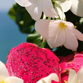 Brazilian Crush Cheirosa 68 - Spray profumato