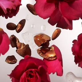 The Ritual of Ayurveda - Cofanetto Regalo Medium