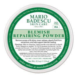 BLEMISH REPAIRING POWDER - Polvere riparatrice anti-acne
