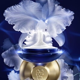 Orchidée Impériale - La Crema Ricca