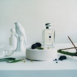 Blackberry & Bay - Cologne