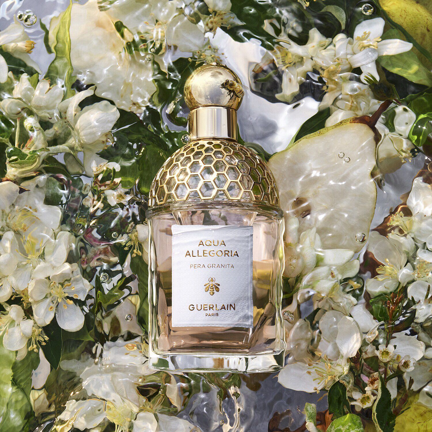 Aqua Allegoria Pera Granita - Eau de Toilette NS7567