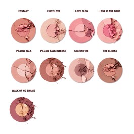 Cheek to Chic - Blush
