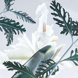BVLGARI MAN GLACIAL ESSENCE - Eau de Parfum