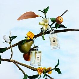 English Pear & Freesia  - Home Candle