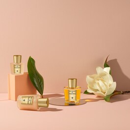 Magnolia Nobile