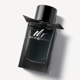 Mr. Burberry - Eau de Parfum