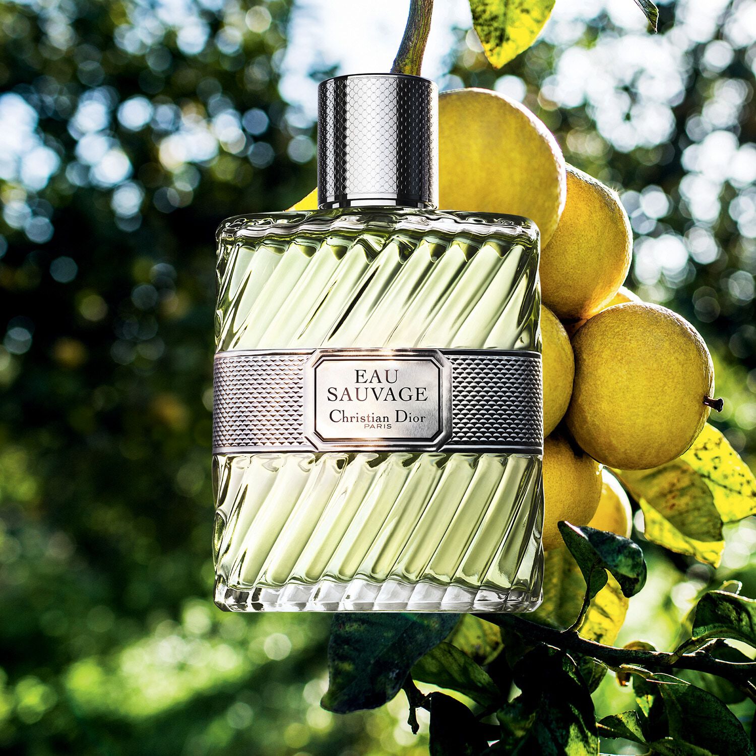 Profumo uomo dior eau sauvage top
