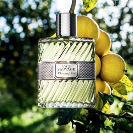 Eau Sauvage – Eau de toilette uomo – Note fresche e assolate