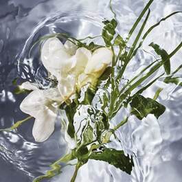 Aqua Allegoria  Herba Fresca - Eau de Toilette