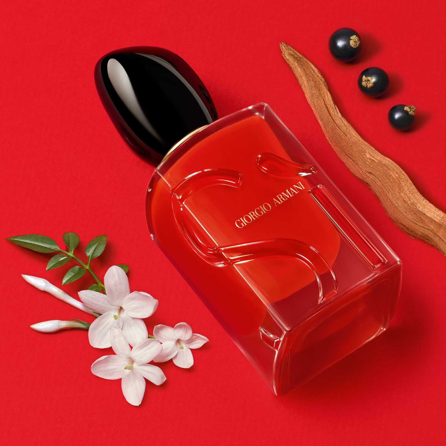 Si passione perfume 50ml new arrivals