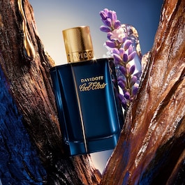 Davidoff Cool Elixir - Parfum Uomo 