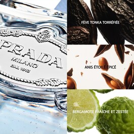 Les Infusions Amande - Eau de Parfum