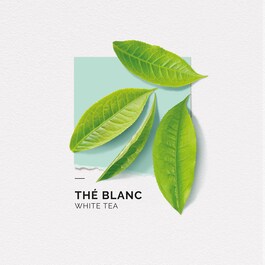 The Blanc - Eau de Parfum Formato Viaggio