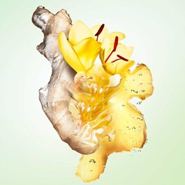 Infusion de Gingembre - Eau de Parfum