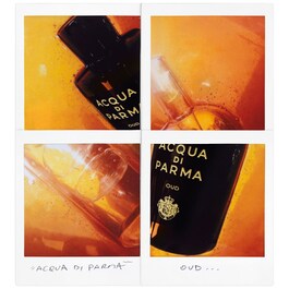 Signatures of the Sun Oud - Eau de Parfum