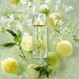 Ô de Lancôme - Eau de Toilette