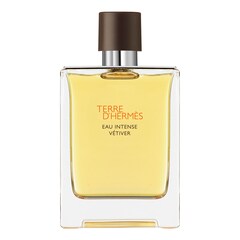 Terre d'Hermès Eau Intense Vétiver - Eau de parfum, HERMÈS